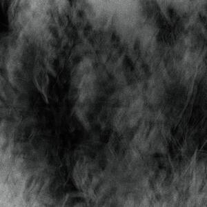 0105.jpg
