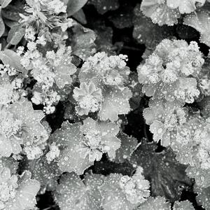 0157.jpg