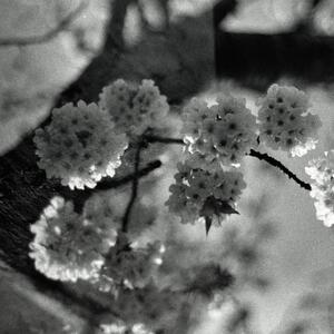 0490.jpg