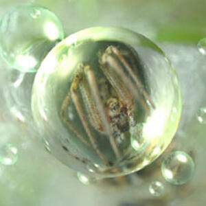 10924.jpgwww.nonduality.com.jpg