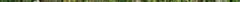 10a_0416.jpg
