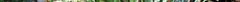 11a_0012.jpg