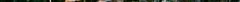 131153700024_24.jpeg