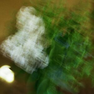 13a_0209.jpg