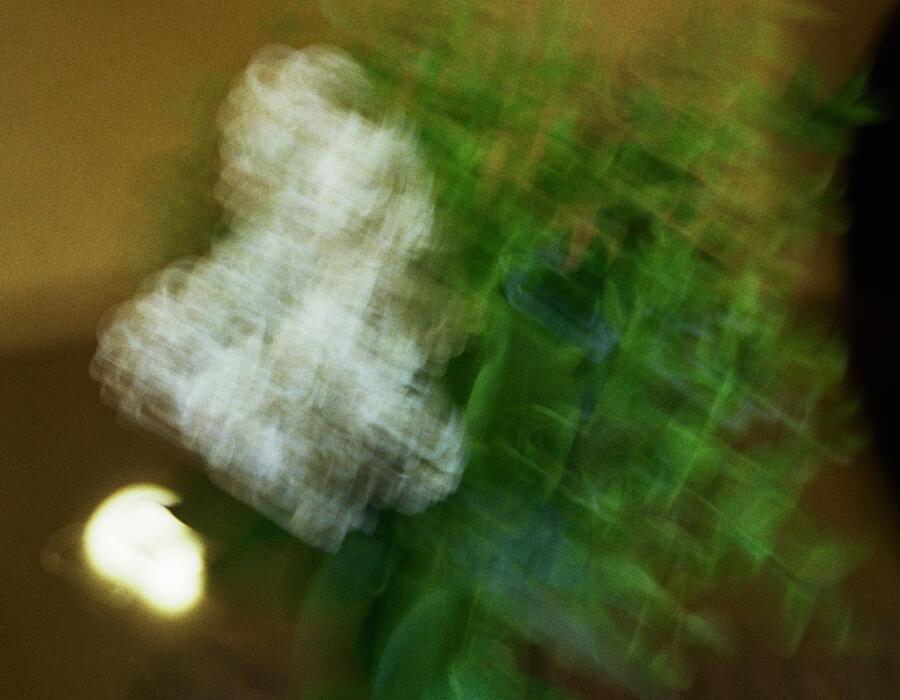 13a_0209.jpg
