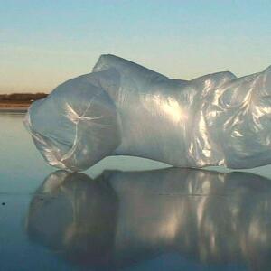 1_282009-ice-sculpture-01.jpg