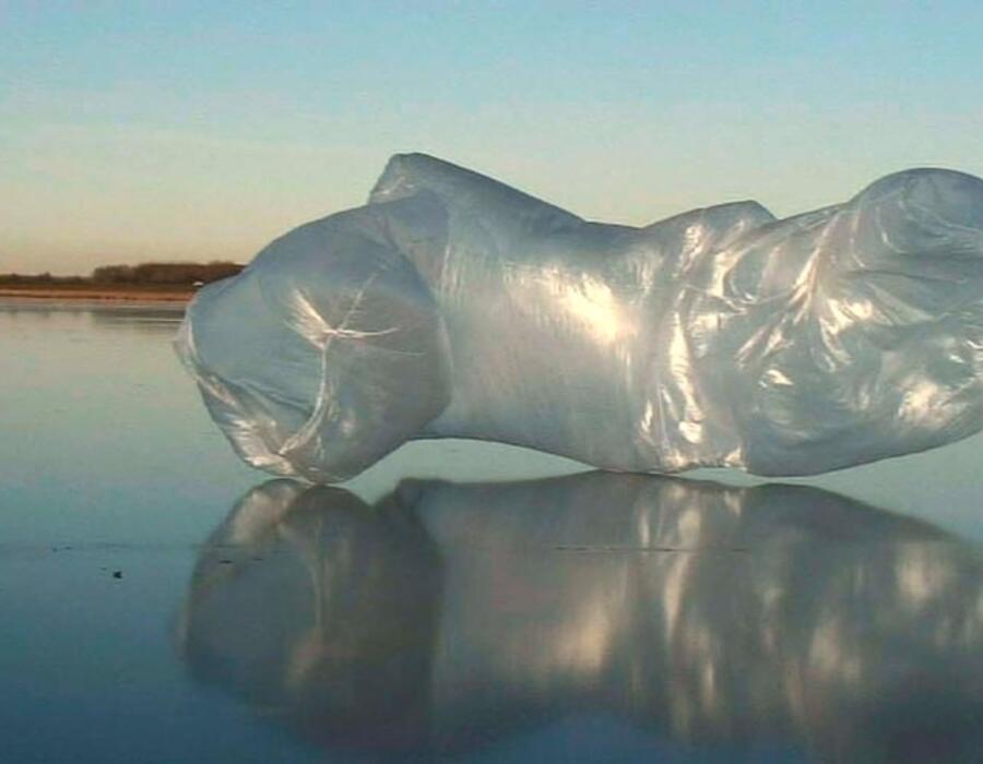 1_282009-ice-sculpture-01.jpg