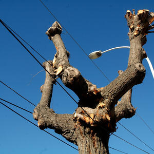 2008-7-02nuevo_tendido_electrico.jpg