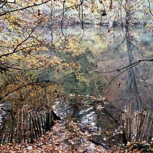 24a_0157.jpg