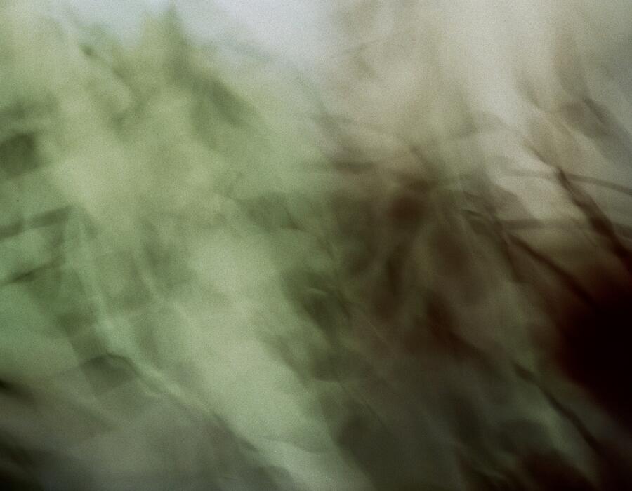 25a_0204.jpg