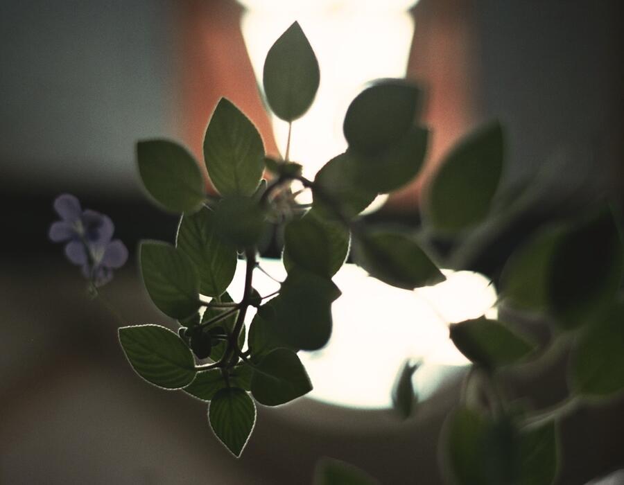 26a_0220.jpg