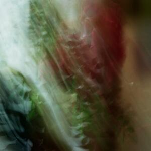 27a_0206.jpg