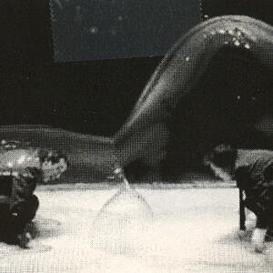 2_men_in_a_bubble.jpg