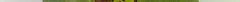 3100750997_986e524ef2.jpg