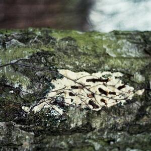 33a_0144_2.jpg