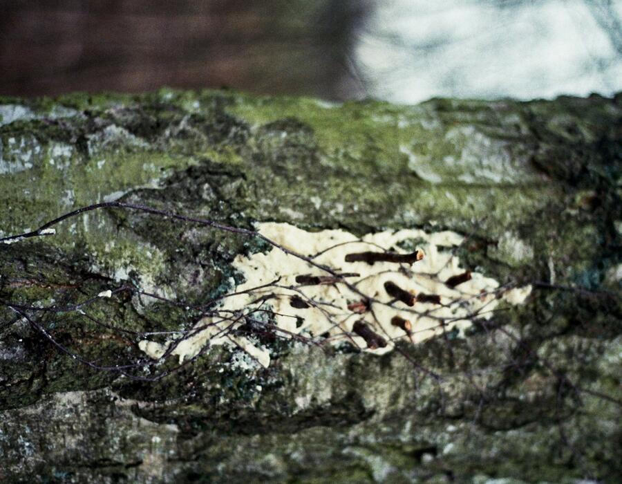 33a_0144_2.jpg