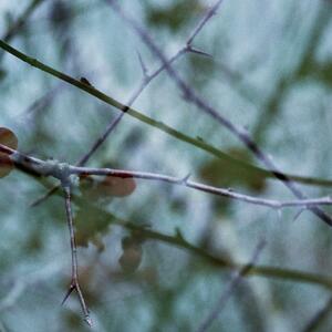 35a_0172.jpg