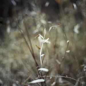 3a_0114.jpg