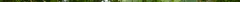 4_hazelaar.png
