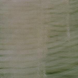 5a_0125.jpg
