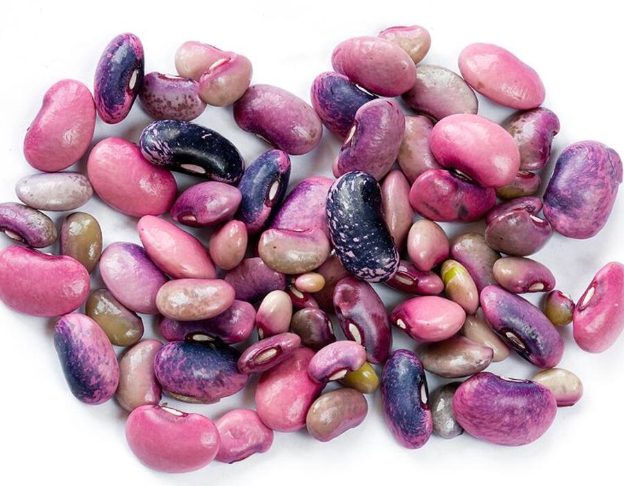 800px-beanseedsscarletrunner.jpg