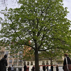 afgehaald21aprilb_029.jpg