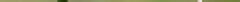allium_vineale_03.jpg
