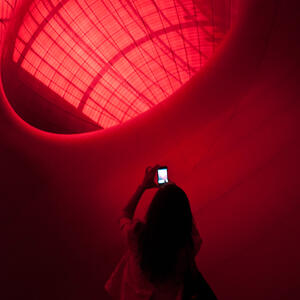anish-kapoor-grand-palais-monumenta-2011_3.jpg