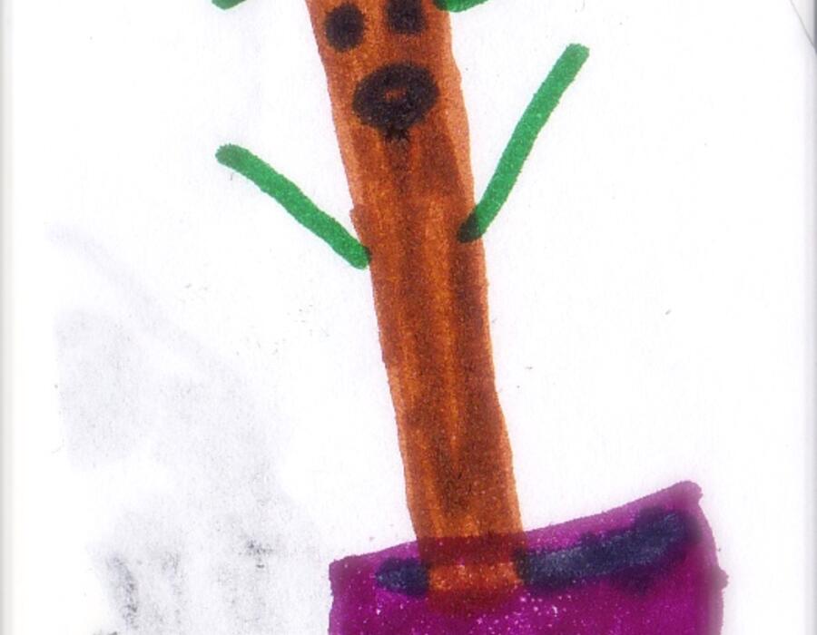 baby_flower_spirit.jpg