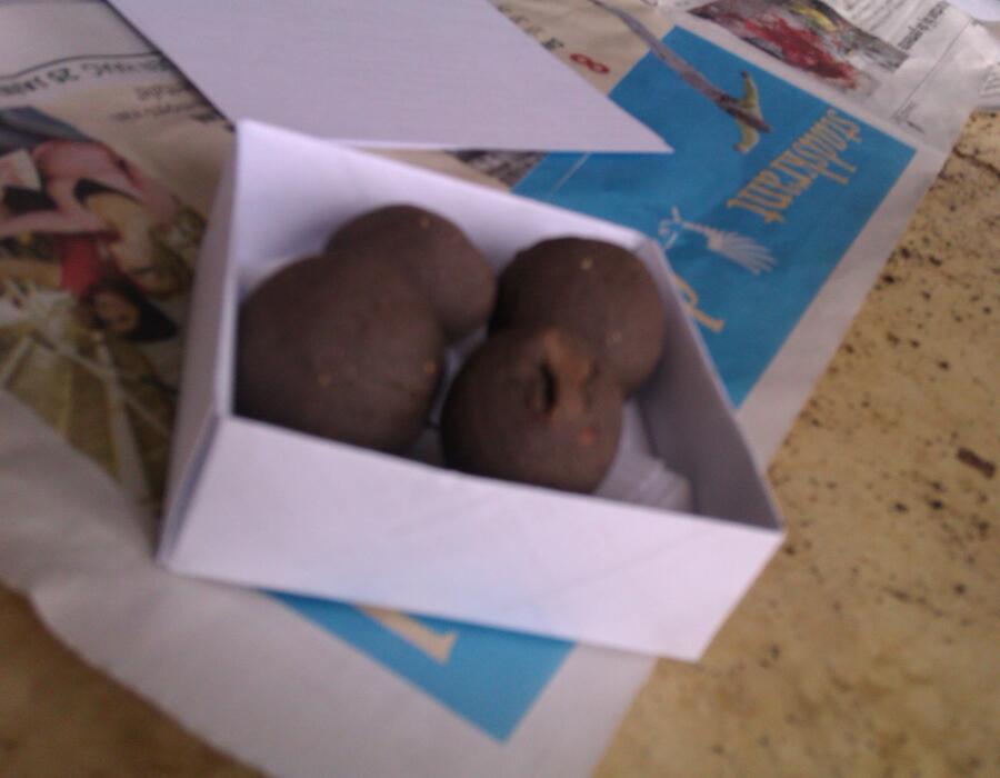balls_in_a_box.jpg