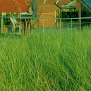 banner1.png