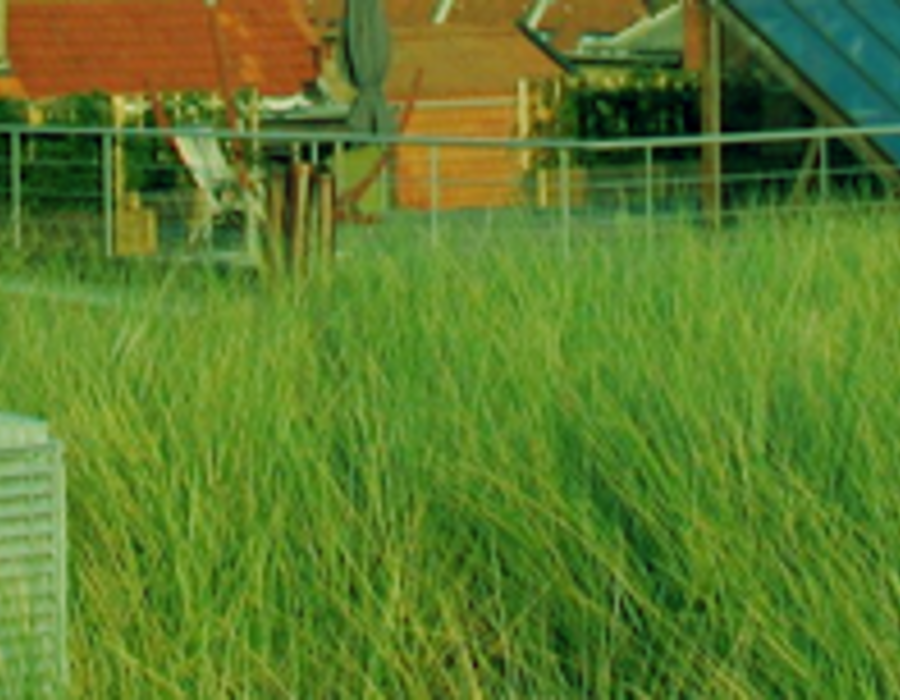 banner1.png