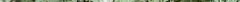 big_africanwormwood.jpg