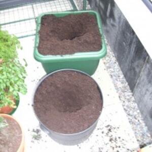 bild0192-225x300.jpg