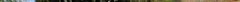 c_o_resizeddsc02417.jpg