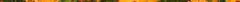 calendula642.jpg