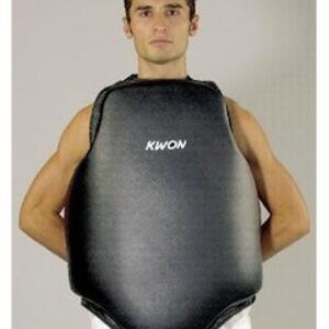 chest-shield.jpg