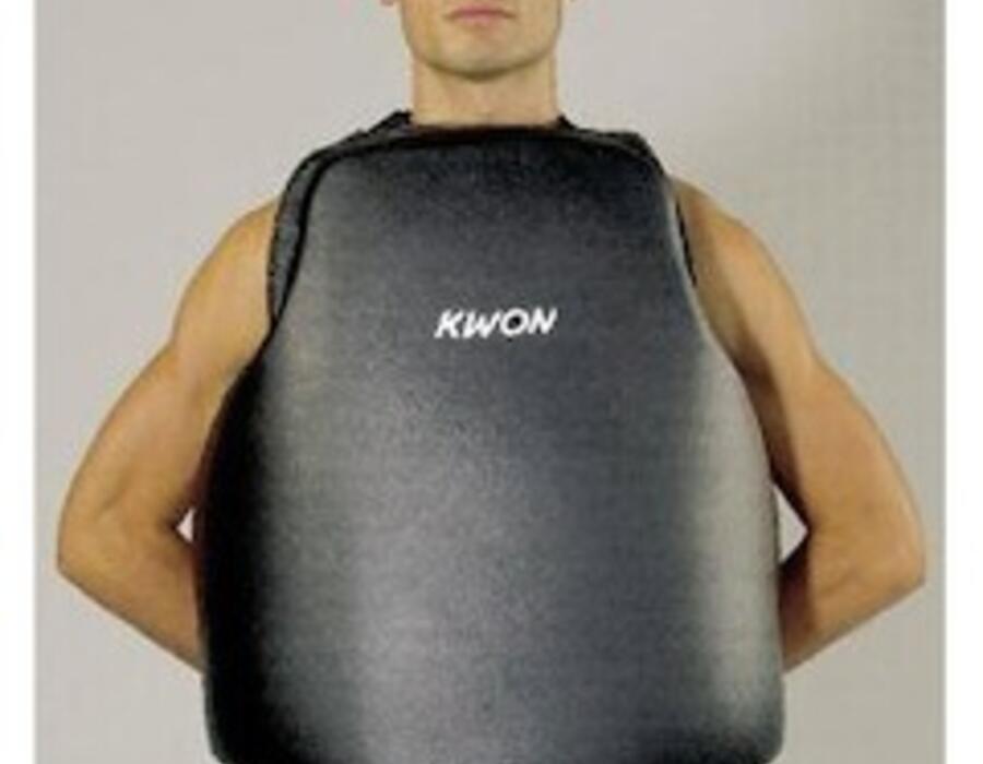 chest-shield.jpg