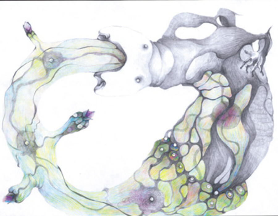 continuum01.jpg