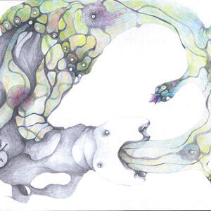 continuum02.jpg
