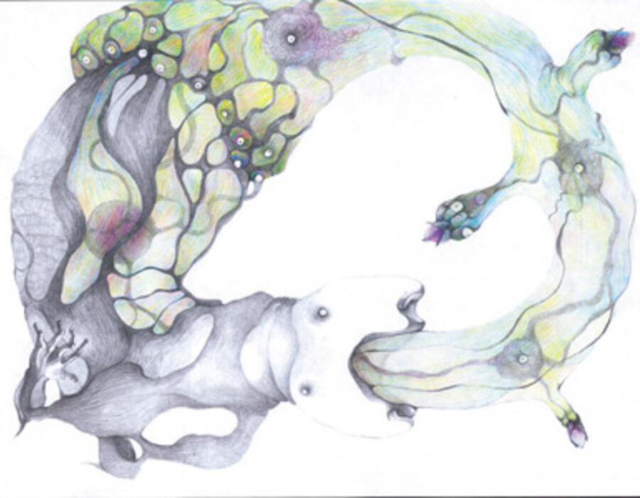 continuum02.jpg