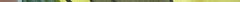 courgette.jpg
