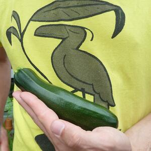 courgette.jpg