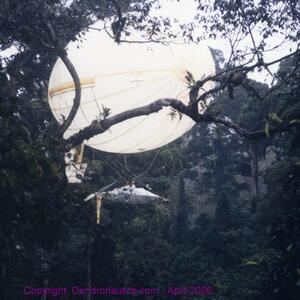 d4-canopy.jpg