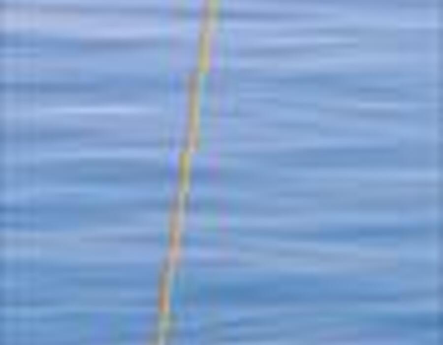danbuoy.jpg