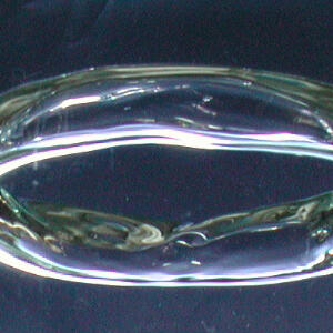 dolphinringphoto00.jpg