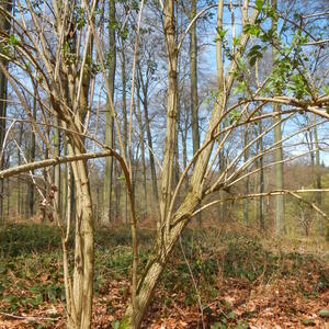 dscn0623.jpg
