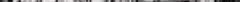 durer.jpg