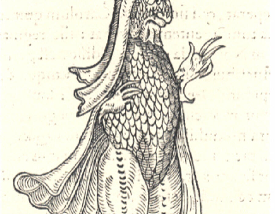 faunamarinae-2j.jpg