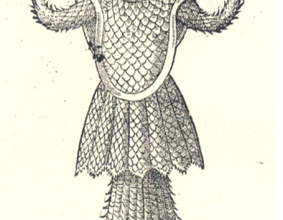faunamarinae-2k.jpg